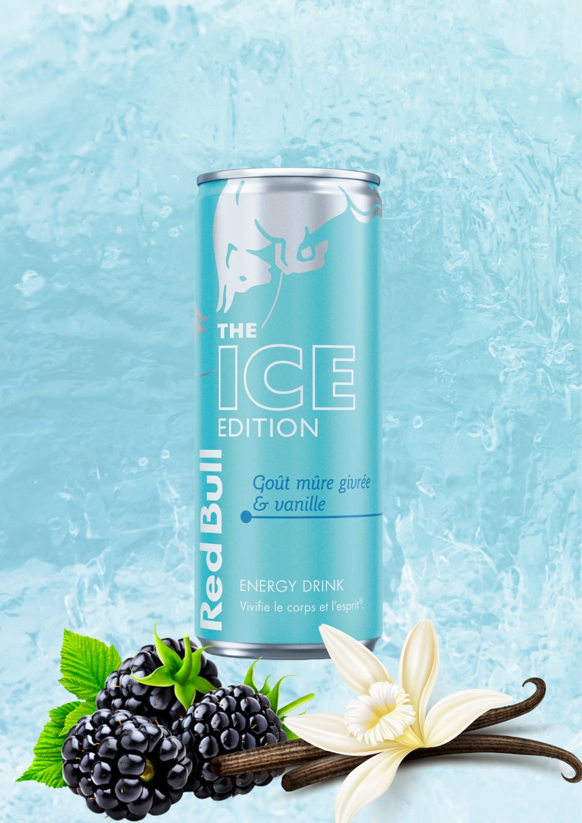 Red Bull goût Mûre givrée et Vanille